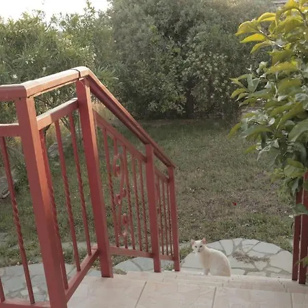 House Demetra شقة