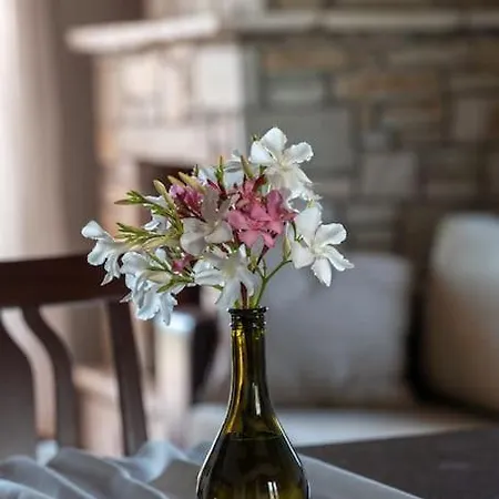 House Demetra Apartamento